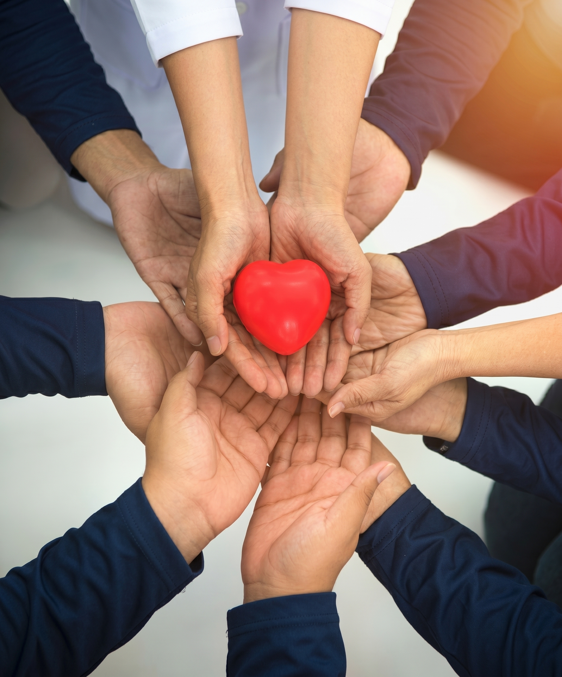 Manos unidas sosteniendo un corazón - Donaciones GENDES
